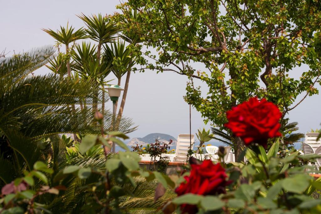 Villa Ersilia Ponza Zewnętrze zdjęcie